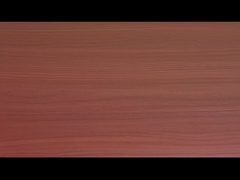 Vermicelli And Instant Noodles With Tomato Beef Flavor OEM Acceptable